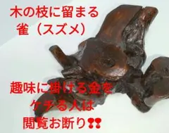 天然木 切り株　 花台・盆栽台・マスコット置き・飾物のサムネイル