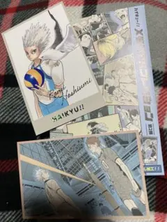 ハイキュー!! メモリアルコレクション 春コレ 星海光来 光来君 日向