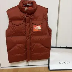 2026年最新】GUCCI メンズ ダウンベスト・キルティングベストの人気