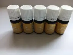 Young Living シトラスフレッシュ　ティートゥリー　レモン　3本セット Young Living シトラスフレッシュ ティートゥリー レモン 3本セット