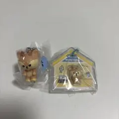 MINITEEN キーホルダー ジョシュアのサムネイル