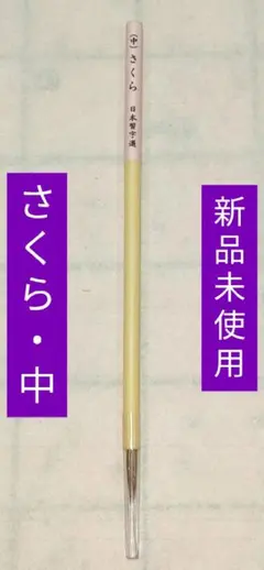 Item thumbnail for item 89701966-cb55-4315-b8ba-9891a15a7880