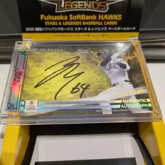 Item thumbnail for item 5a5b4ed2-21e0-4710-9bca-03e0db61f8be