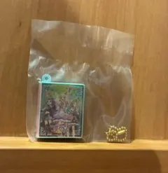 アイカツ！ グッズコレクション２～大スター宮いちごまつり～カードバインダー