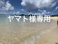 ヤマト様専用