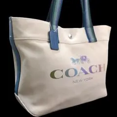 Item thumbnail for item 512df722-1878-4475-a794-0d4d8d923a6b