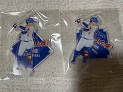 全力応援！中日ドラゴンズアクスタくじ 田中幹也