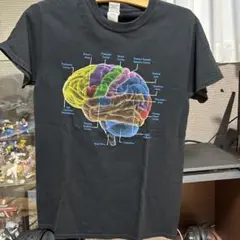 archive tシャツ