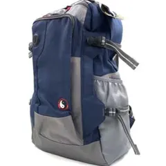 未使用保管品 タウンアンドカントリー 170リュック バックパック Y2K