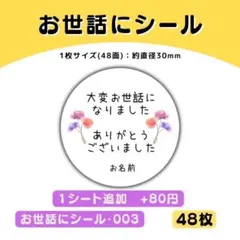 Item thumbnail for item cd18b7c1-11b7-47a0-933d-595ed4d22ac4