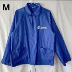 Item thumbnail for item 800895ec-5784-462c-bf9a-d18ada5e922b