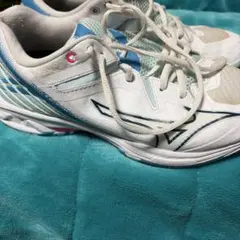 ミズノ バドミントンシューズ 23.5cm Mizuno Wave Smash - メルカリ