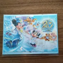 ディズニーA6クリアファイル2枚セット