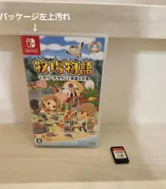 牧場物語 オリーブタウンと希望の大地