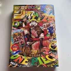 【早い者勝ち】週刊少年ジャンプ2026年33号ワンピースカード付録未開封計10冊 週刊少年ジャンプ 2026年 33号 本誌のみ ワンピースカード無し - メルカリ