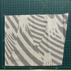 Item thumbnail for item 48ced6c6-349e-41fc-94fb-34dc1f3e1a29