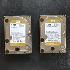 WD Gold WD1005FBYZ-01YCBB2 ×2個