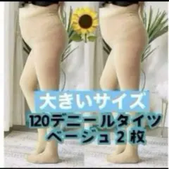 大きい プラスサイズ 2枚セット 120デニール タイツ ベージュ レディース