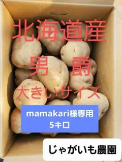 mamakari様専用