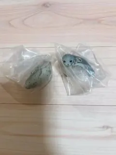 アザラシ　マーカーチャーム　２点セット