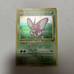SM-P 殿堂の書_ポケモンカードジム 殿堂バトル 優勝 PROMO 第7世代