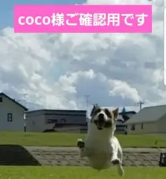♡coco様ご確認用です♡