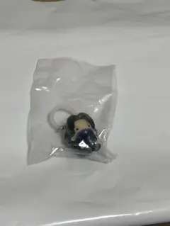 ハンターハンター めじるしアクセサリー フェイタン①