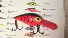ストーム ウイグルワート 蛍光レッドブラックHB