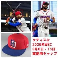 2026年最新】タティスJr ステッカーの人気アイテム - メルカリ