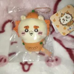 ちいかわぽけっとフルーツマスコット シーサー