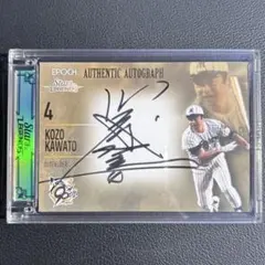 Item thumbnail for item cc49d9fd-a448-4bc6-b52f-55c2749f1d21