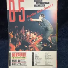B-5 Punk Not Dead! (パンク&ニューウェーブ写真集)
