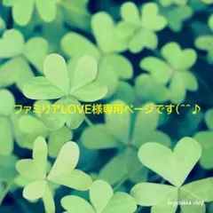 ファミリアLOVE様専用ページです(^^♪
