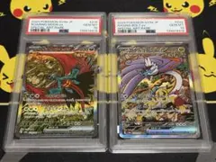 トドロクツキ、タケルライコSAR PSA10連番　テラスタルフェス