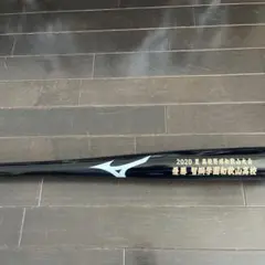 Item thumbnail for item b59d528e-aac4-48b4-85cb-46f96e5f6226