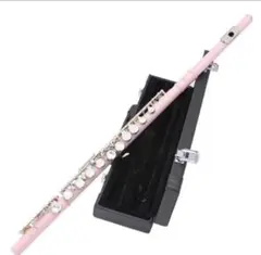 2025年最新】ピッコロ 管楽器の人気アイテム - メルカリ