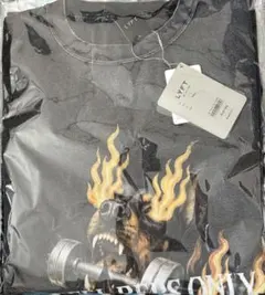 Lyft Tシャツドーベルマン リフト LÝFT 即完売品 Lサイズ - メルカリ