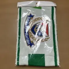 タオルマフラー　横浜マリノス