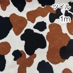 1m 三毛猫 ツイル