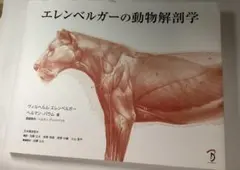 エレンベルガーの動物解剖学のサムネイル