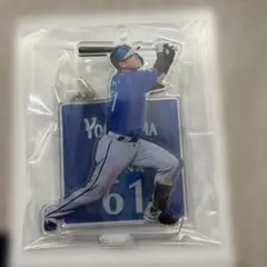 横浜DeNAベイスターズ 蛯名達夫選手 アクリルキーホルダー
