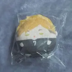 ハイキュー　くじメイト　ぬいくじ　E賞　宮侑　てのりんず