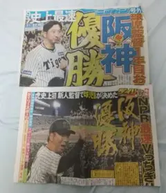 阪神タイガース 優勝 記念号外 2セット