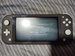 Nintendo Switch Lite グレー 本体ジャンク品