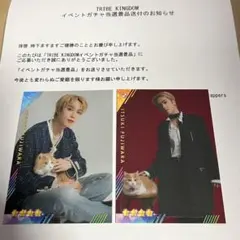 藤原樹　TRIBE KINGDOM 非売品リアルカードセット　トラキン