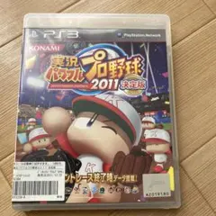 実況パワフルプロ野球2011決定版