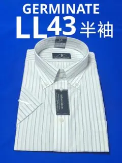 Item thumbnail for item c03ee421-0aa8-41c2-88f8-c4e4820f55e7