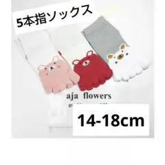 【新品】こども 5本指靴下 3足セット くま(女の子)柄 送料無料　14-18㎝