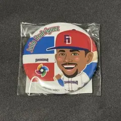 2026 WBC モバガチャ フリオ ロドリゲス ドミニカ代表 アクリル