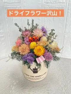 Item thumbnail for item e9a91c32-bee8-4379-9eaf-44f20ac08410